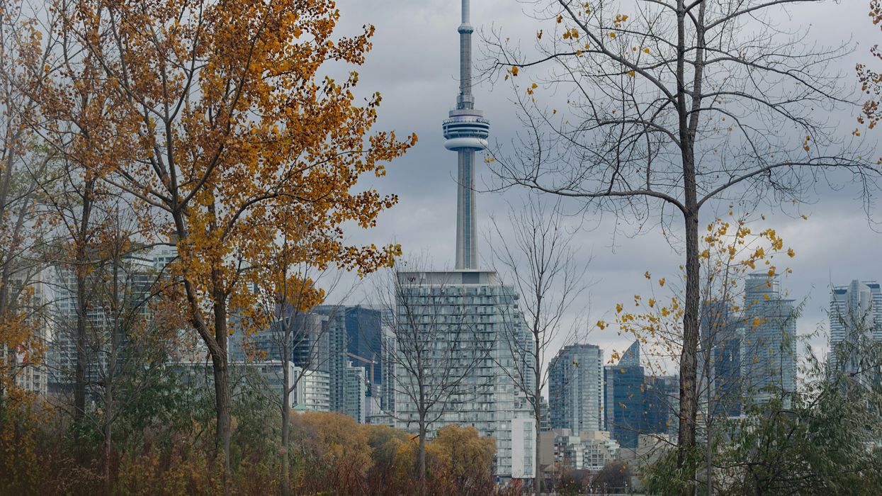 fall trees in front of the toronto skyline