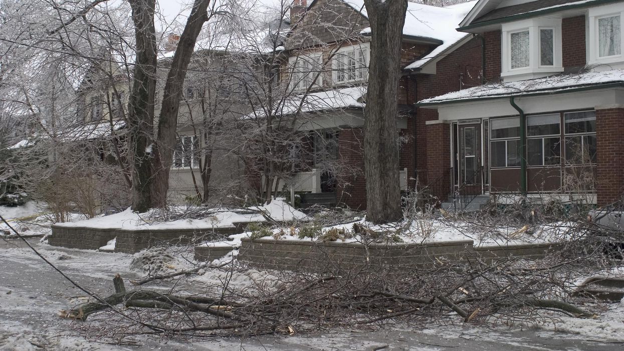 Fallen branches during a Toronto ice storm.