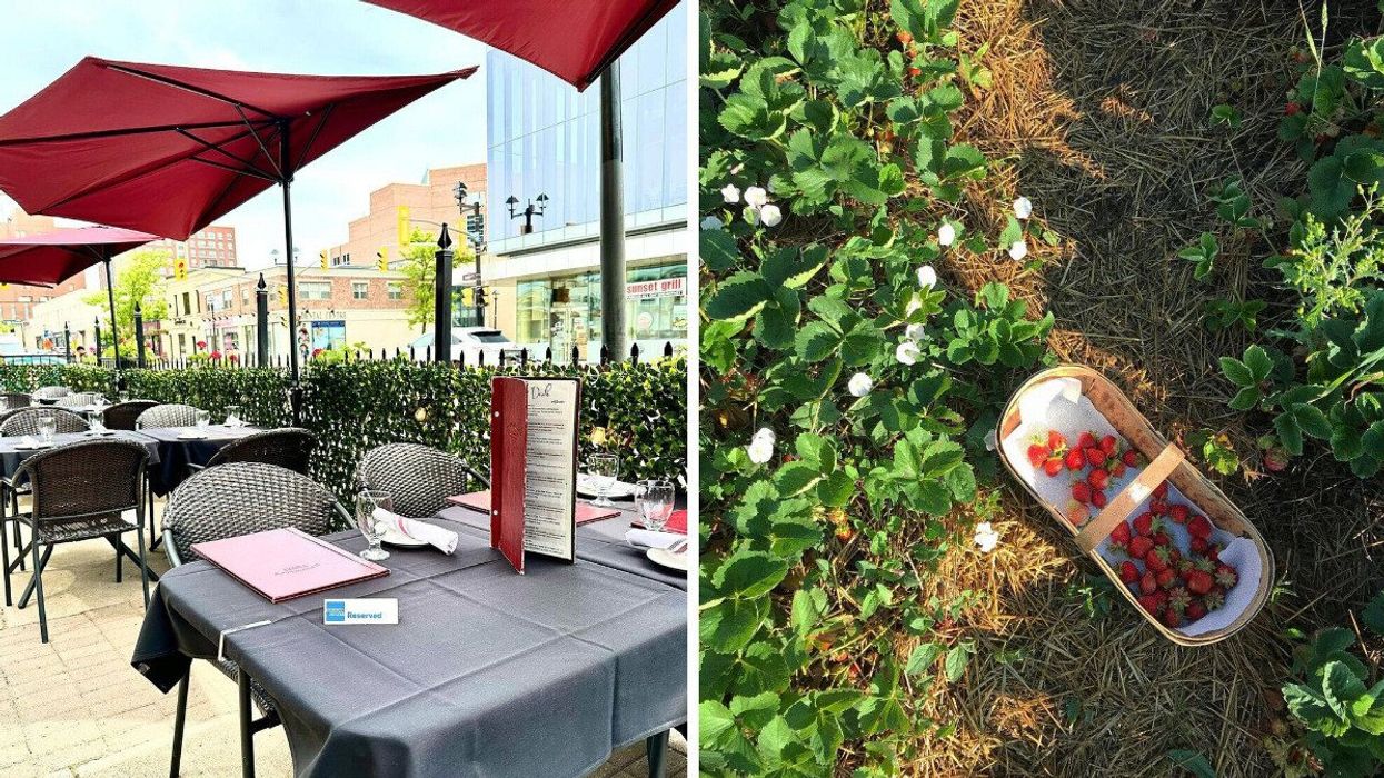 fanzorelli's patio in brampton. right: strawberry picking at big 'r apple farm