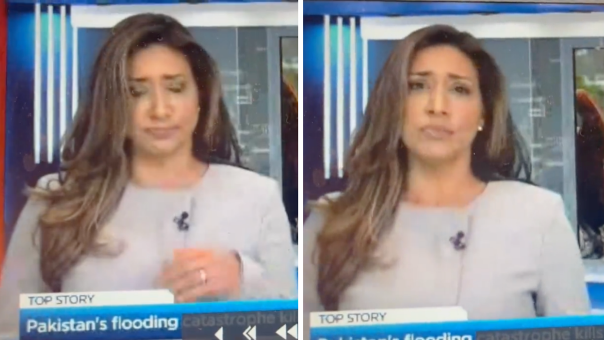 Farah Nasser swallowing a fly during a live broadcast.