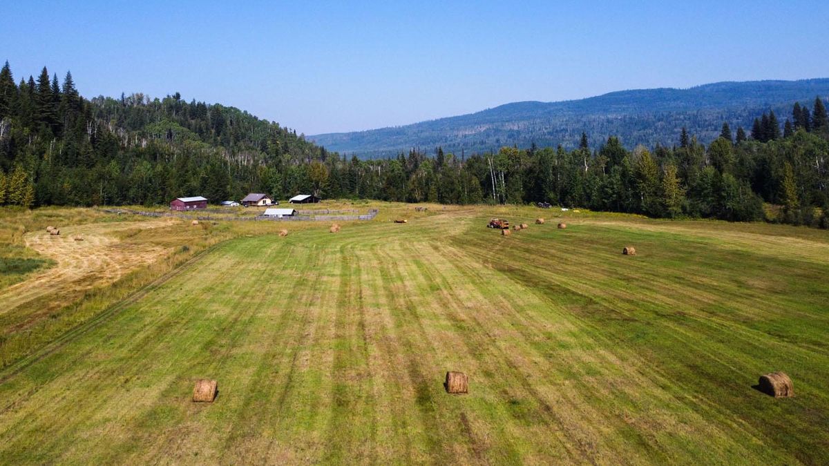 OffGrid Cabin & Hobby Farm Cabin on 125 Acres Quesnel Rural South