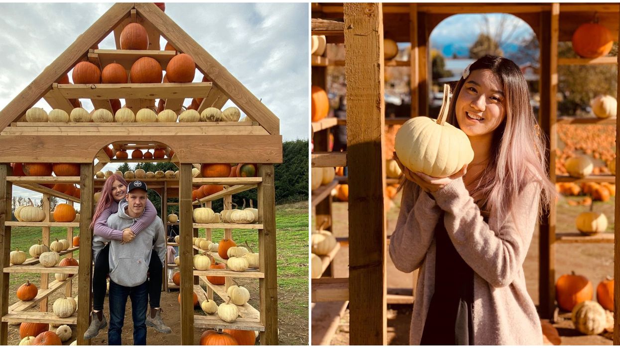 Farm Near Vancouver Has A Magical 'Pumpkin House' Each Fall