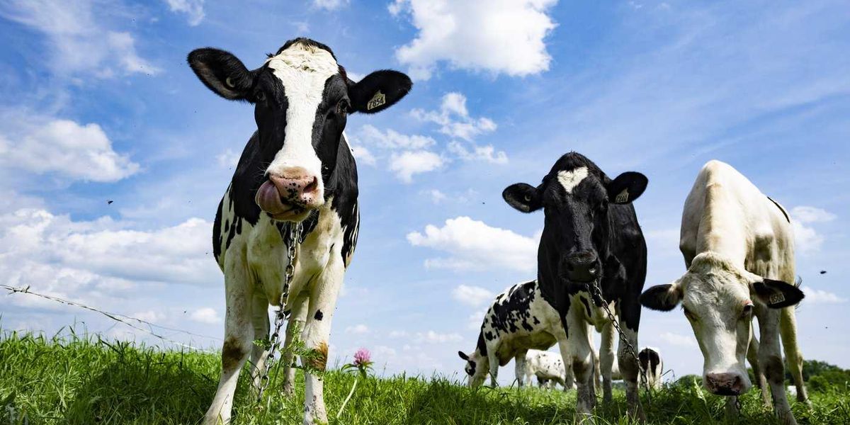 Farming groups applaud private member’s bill Farming groups applaud private member’s bill