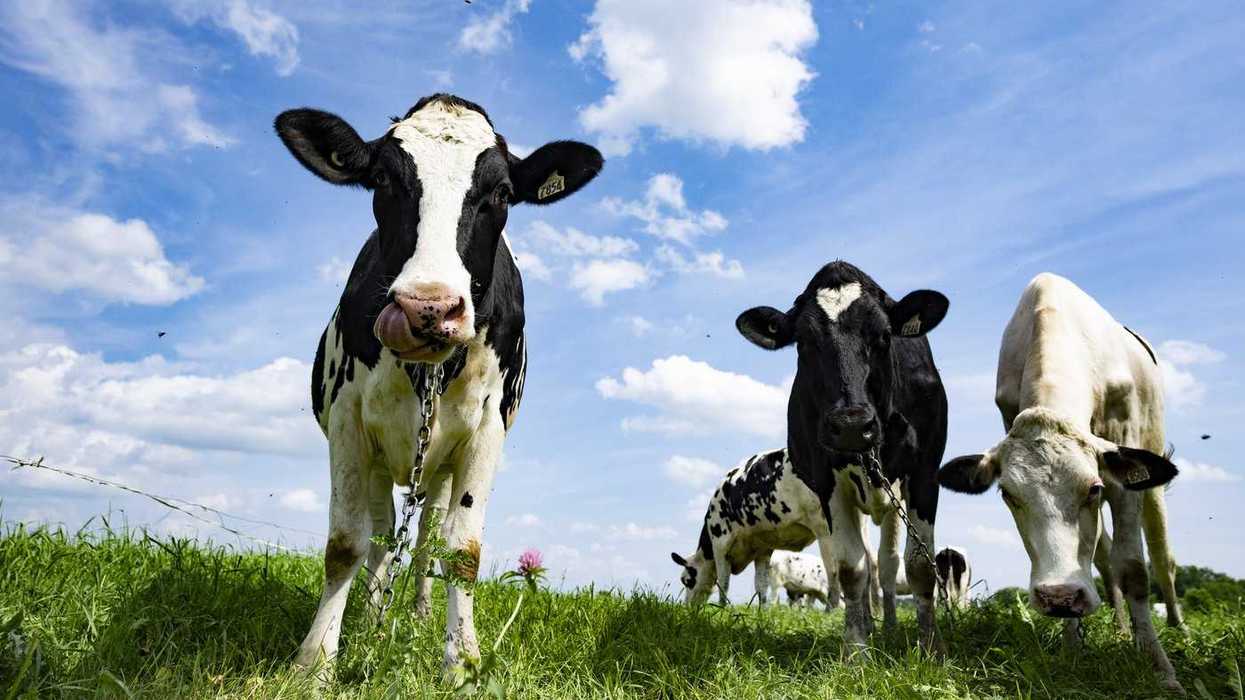 Farming groups applaud private member's bill