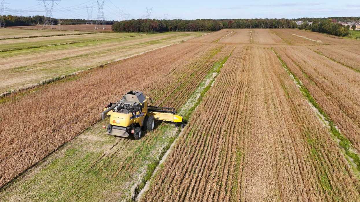 Feds urged not to weaken oversight on pesticides