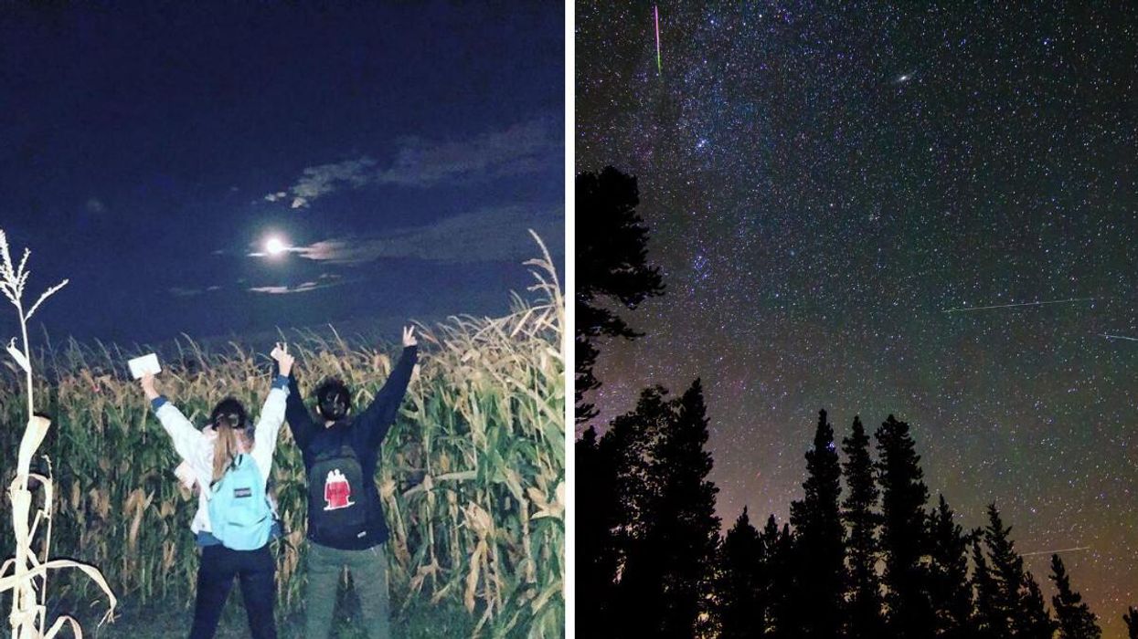 Ferme BM Forget : Le labyrinthe de maïs dans le noir ouvre pendant les Perséides