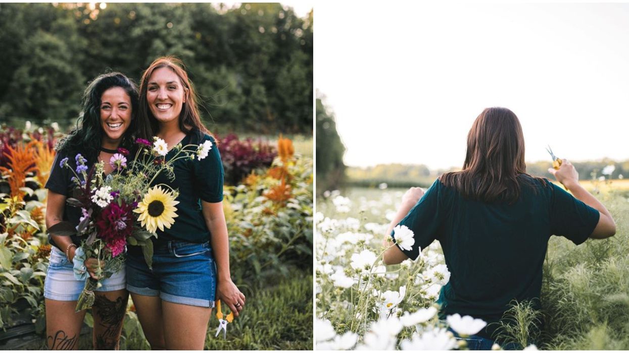 Ferme florale Au beau pré : Tu peux aller cueillir des fleurs dans ce jardin éco à 1 h de Montréal