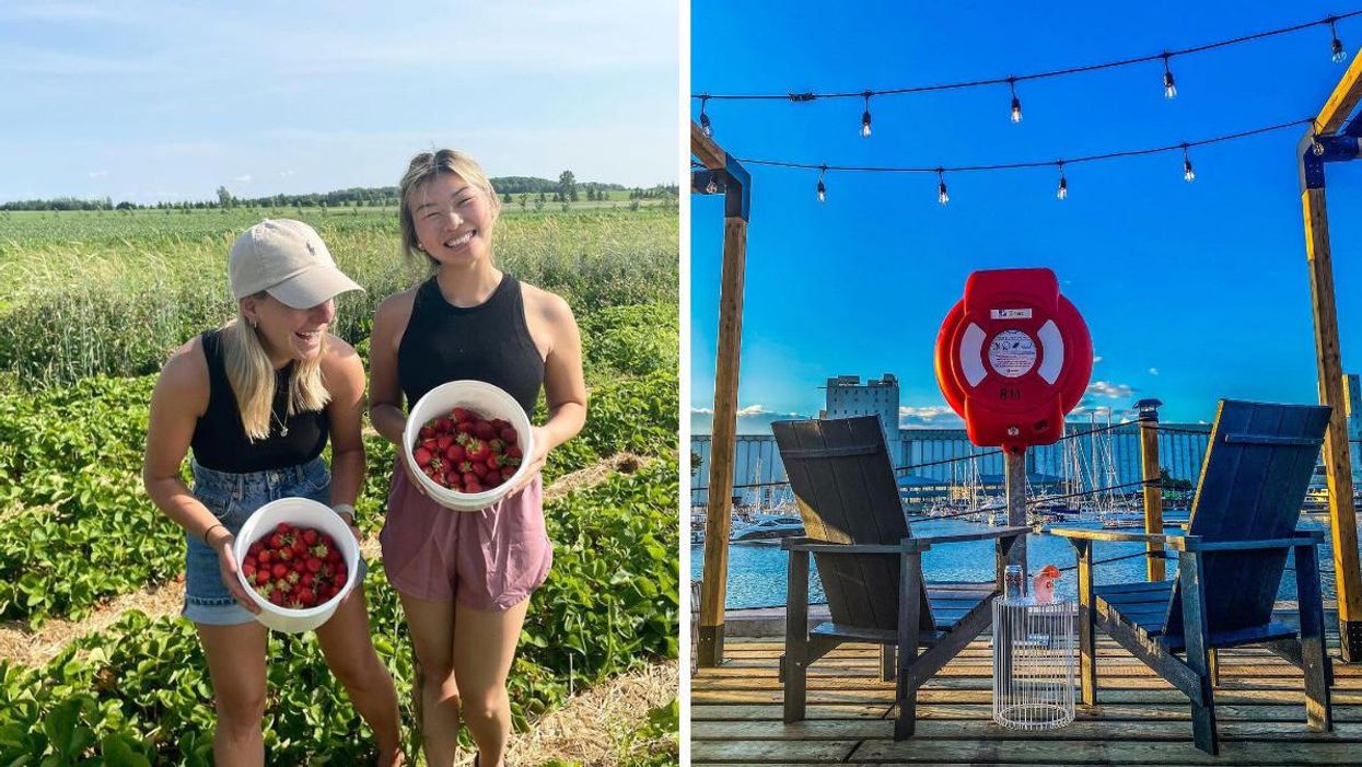 Ferme Genest. Droite : L'Oasis du Port de Québec.
