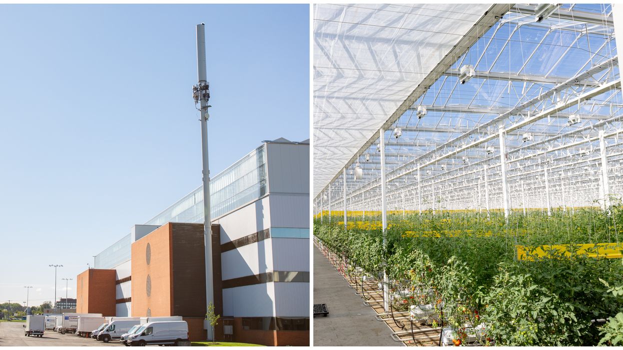 Fermes Lufa : Le plus grand jardin sur toit au monde se trouve à Montréal (PHOTOS)