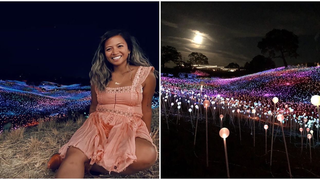 Field Of Light In California Lets You Wander Through Technicolor Fields
