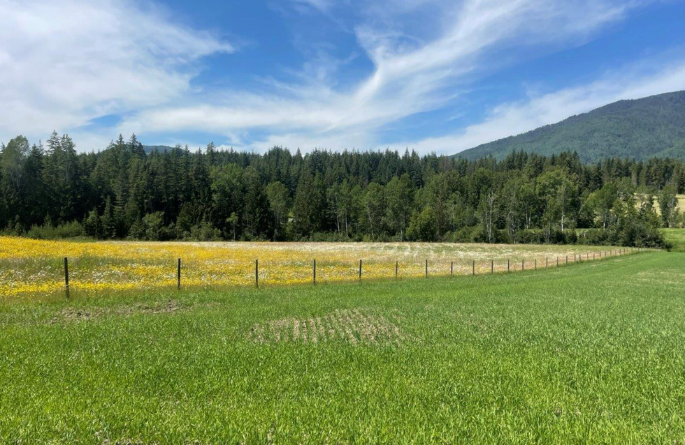 Fields on the property.