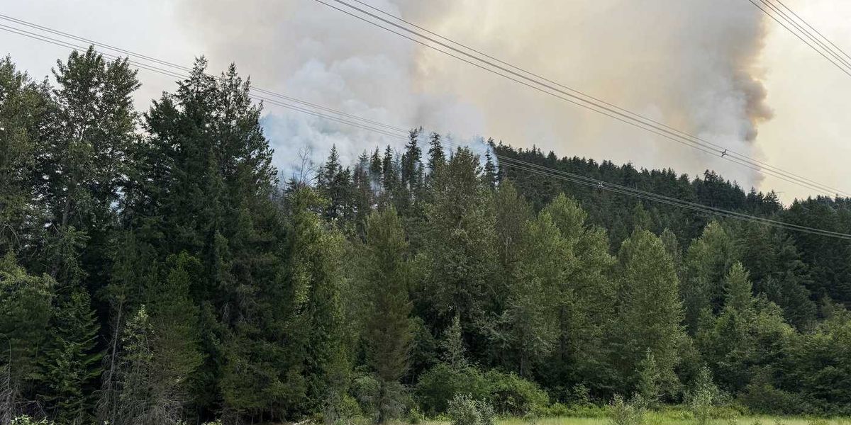Fire near Pemberton, B.C. is now being held, says BCWS, but smoke on way Fire near Pemberton, B.C. is now being held, says BCWS, but smoke on way