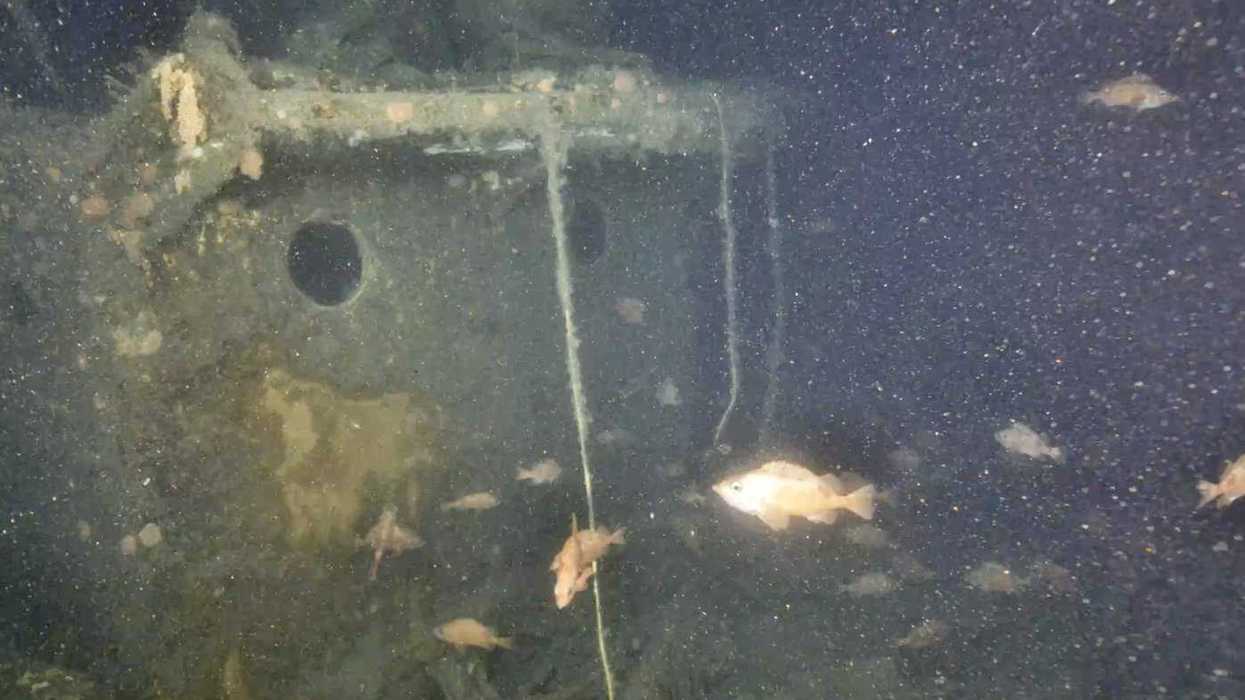 First images released of Shackleton's last ship