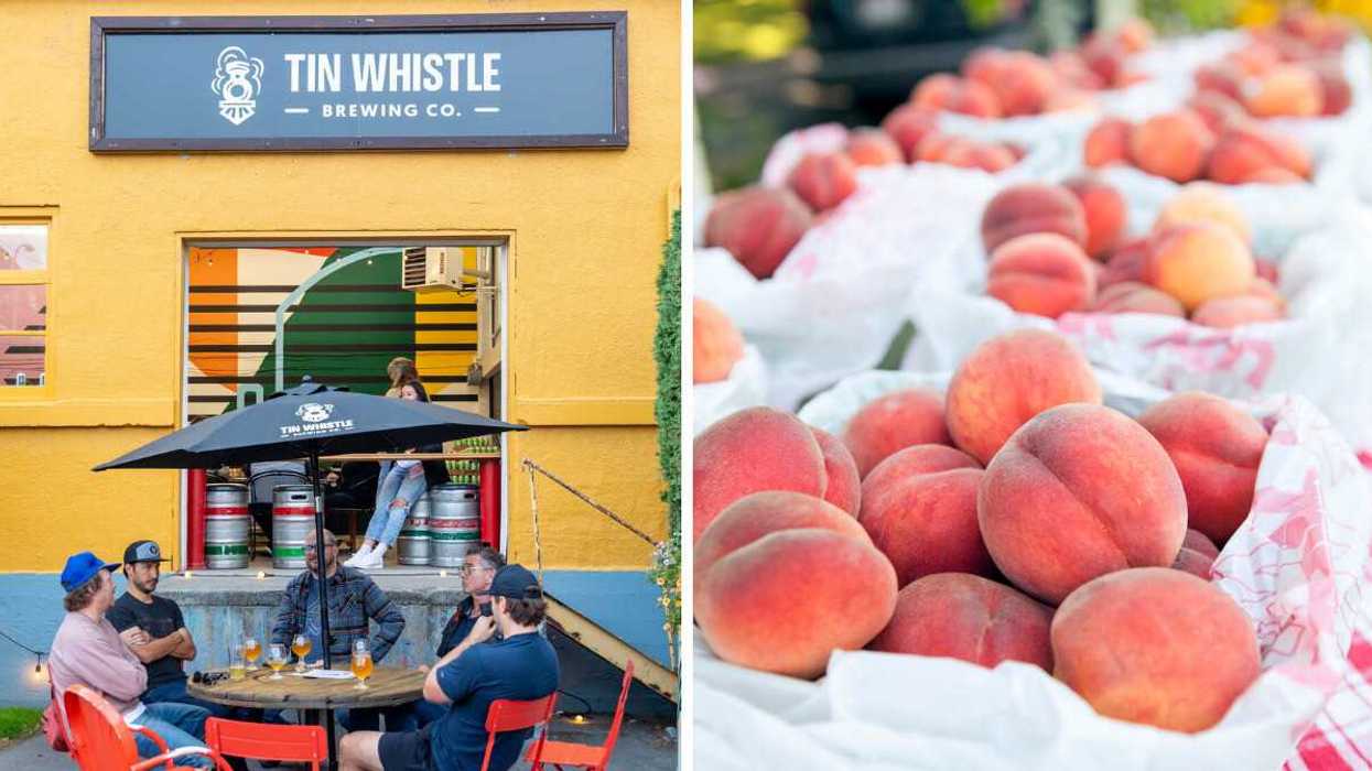 Five people sitting at a patio table outside Tin Whistle Brewing Co. Right: Peaches in punnets on a plaid tablecloth at a farmers market.