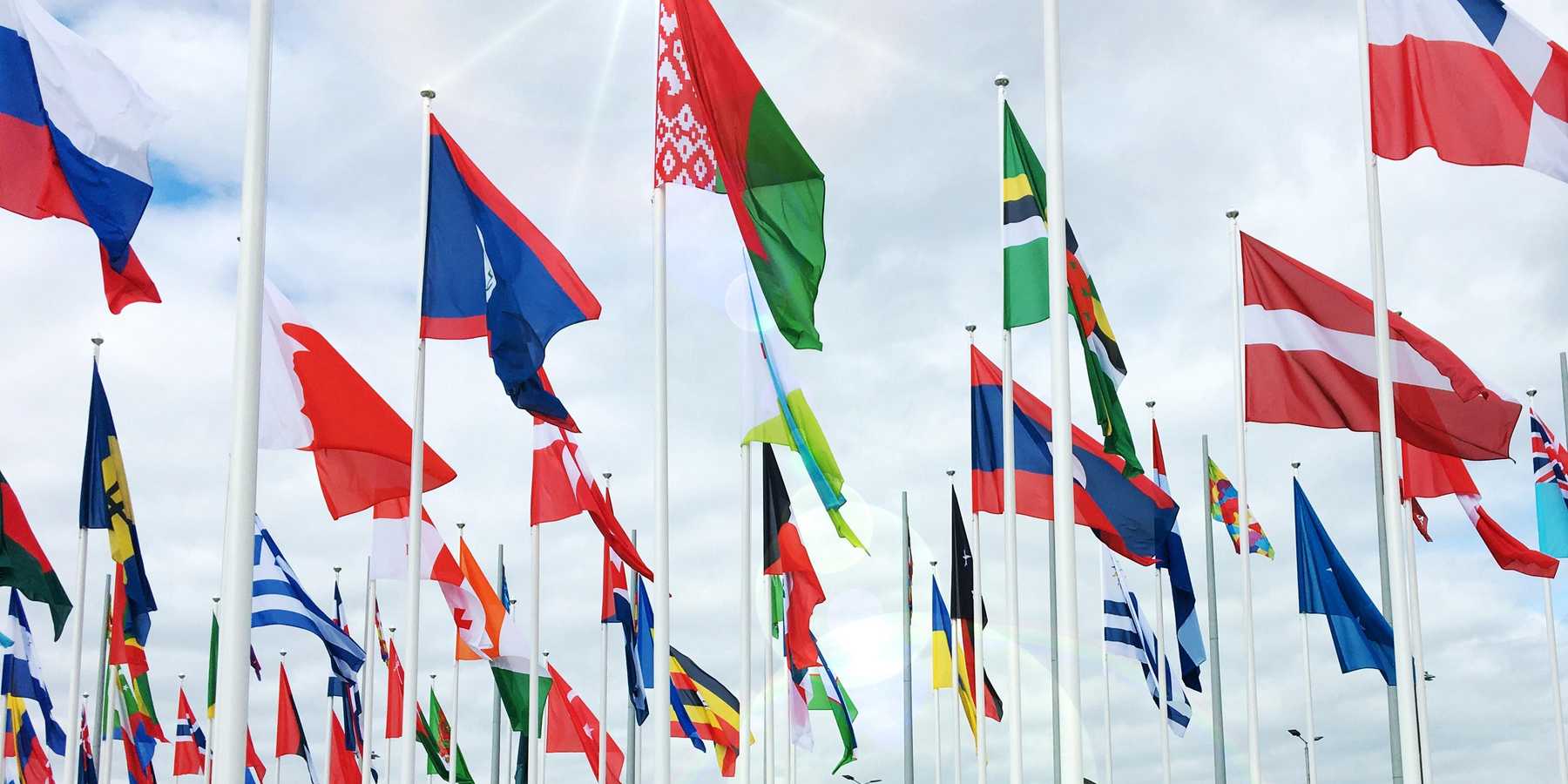 Flags of world countries hanging on poles.