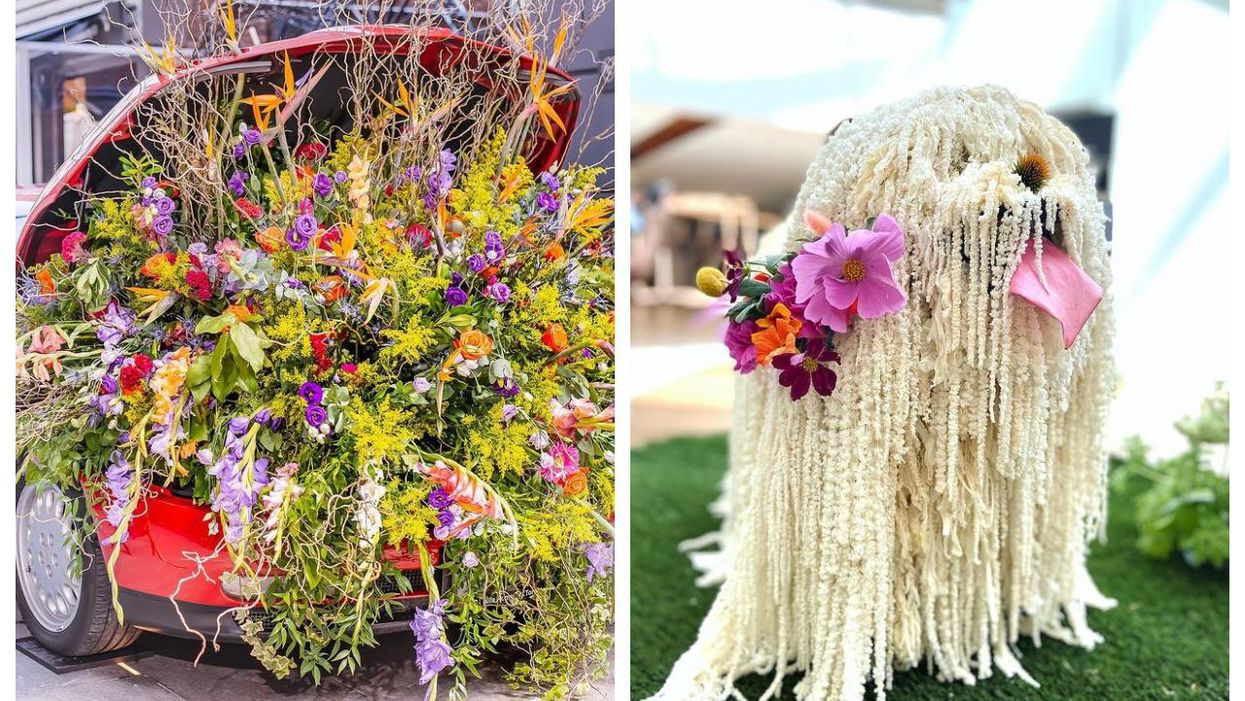 Fleurs De Villes Is Transforming Bloor-Yorkville Into A Floral Oasis