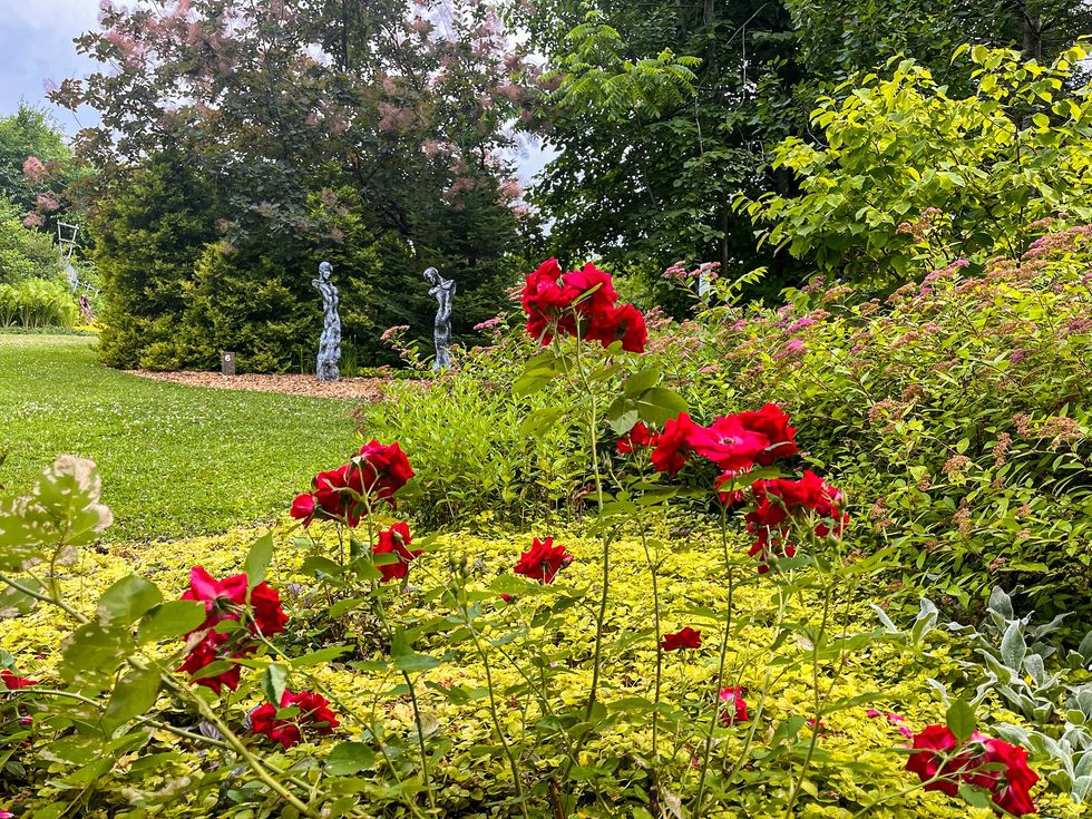 Fleurs rouges \u00e9clatantes au premier plan avec sculptures modernes dans un jardin verdoyant au Jardin Moore.