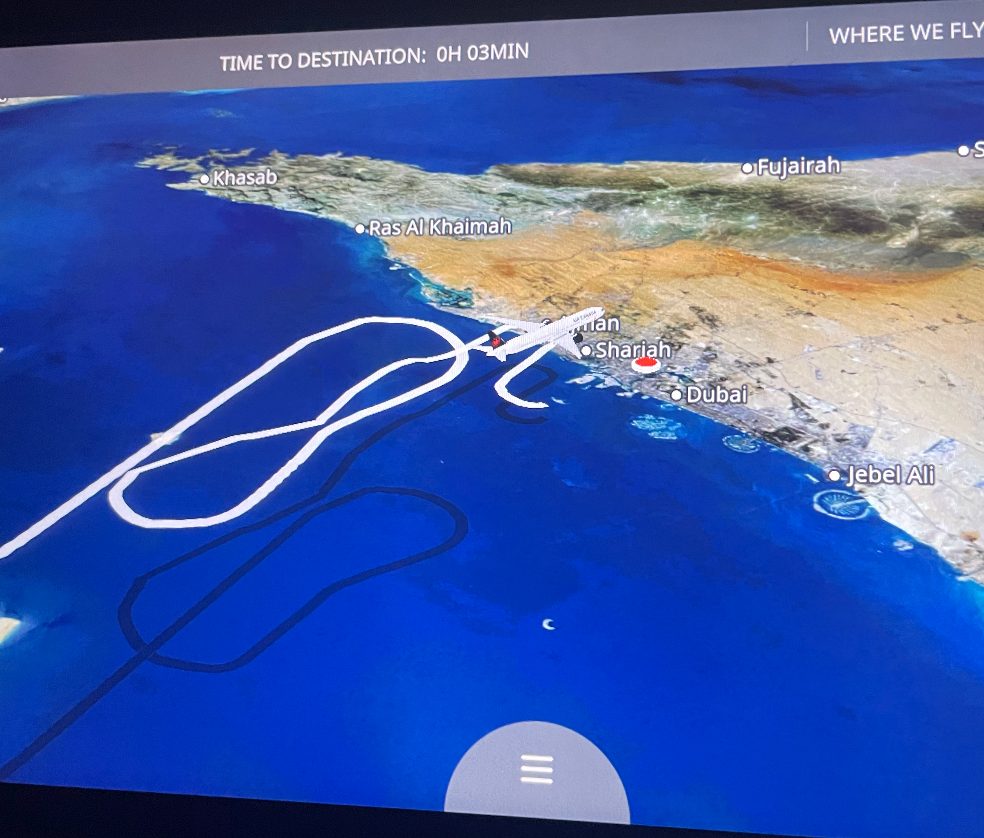 Flight landing in Dubai.