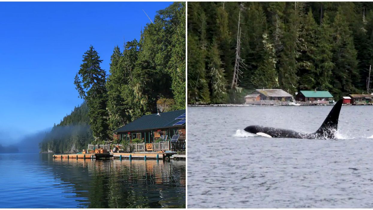 Floating Lodge in B.C. Lets You Sleep On The Ocean Next To Splashing Whales For Under $150