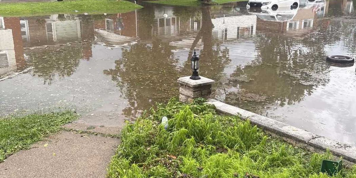 Montreal flooding after heavy rainfall renews questions about infrastructure Montreal flooding after heavy rainfall renews questions about infrastructure