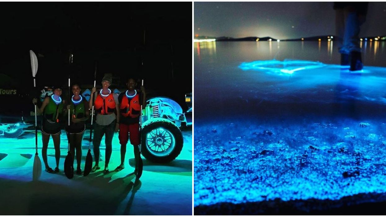 Florida Adventurer Cheap Bioluminscent Kayak Tour In Florida Is A Magical Experience