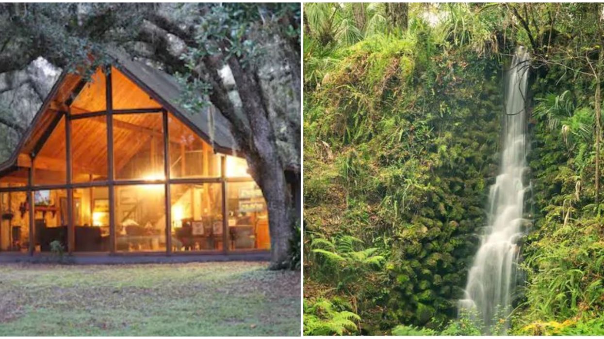 Florida Airbnb Affordable Rental Cabin Is Just Minutes From Rainbow Springs