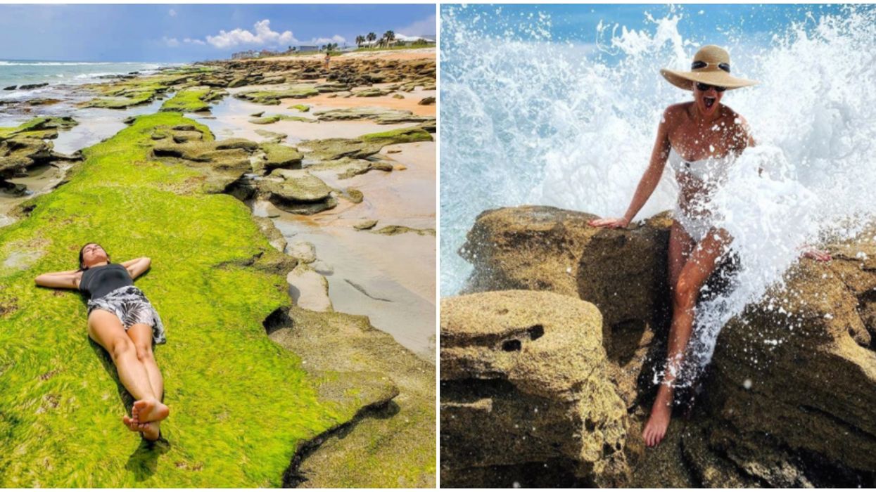 Florida Beach Marineland Near Jacksonville Feels Like The Cali Coast