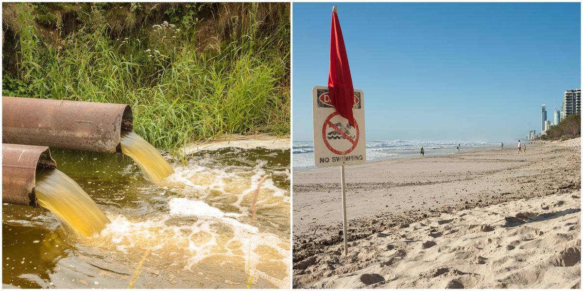 A Ton Of Florida Beaches Are Covered In Poop Water Right Now - Narcity