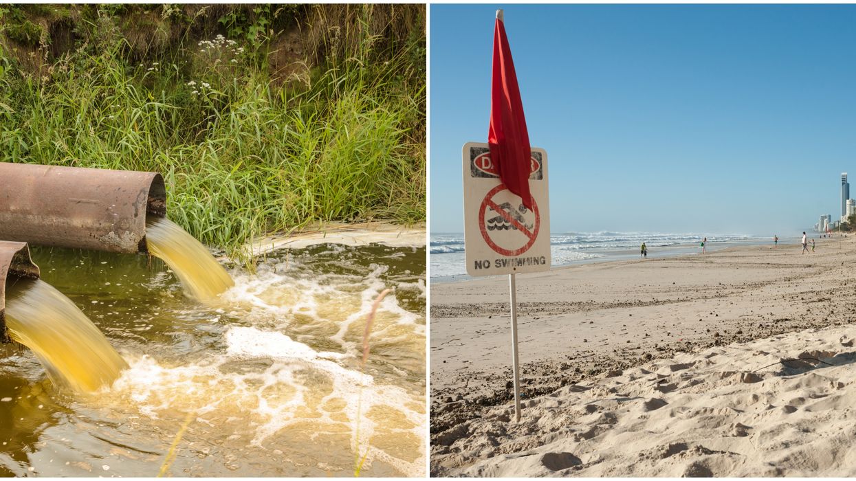 Florida Beaches Water Advisories Have Been Issued At This Shorelines For 'Poop' Bacteria