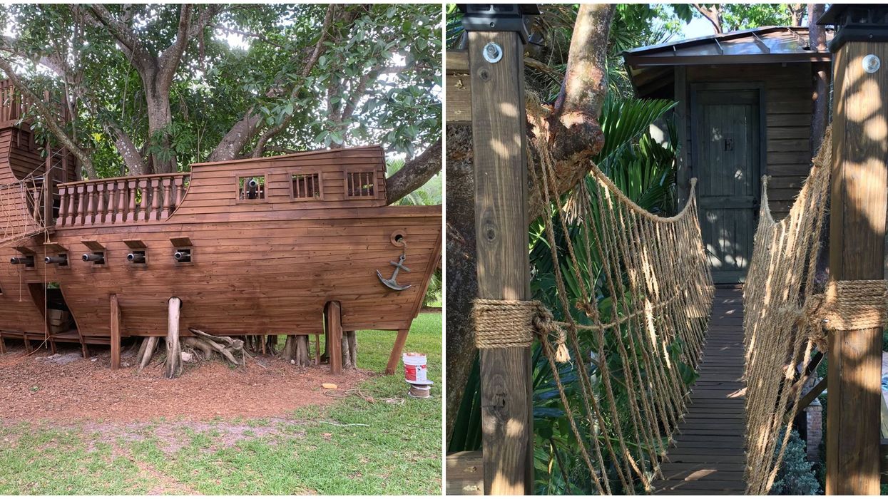 Florida Company Miami Treehouse Builder Crafts Custom Tree Houses You'll Want To Live In