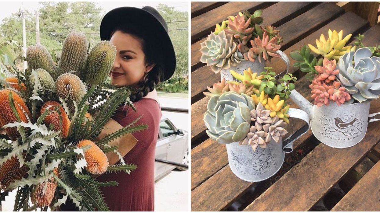 Florida Garden Cactus Shop Open Now