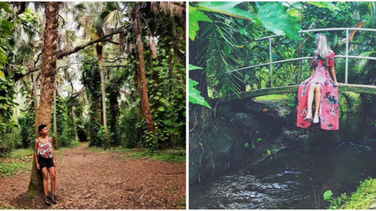 Florida Garden Joy And Gordon Patterson Botanical Garden Is A Tropical Getaway