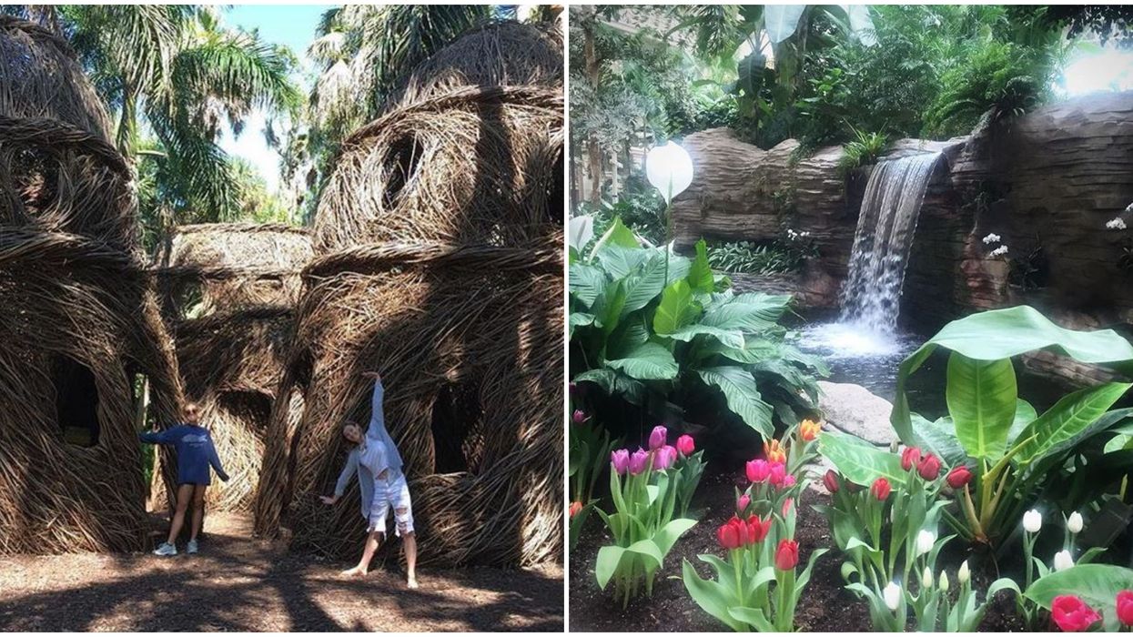 Florida Gardens To Explore For An Enchanting Adventure