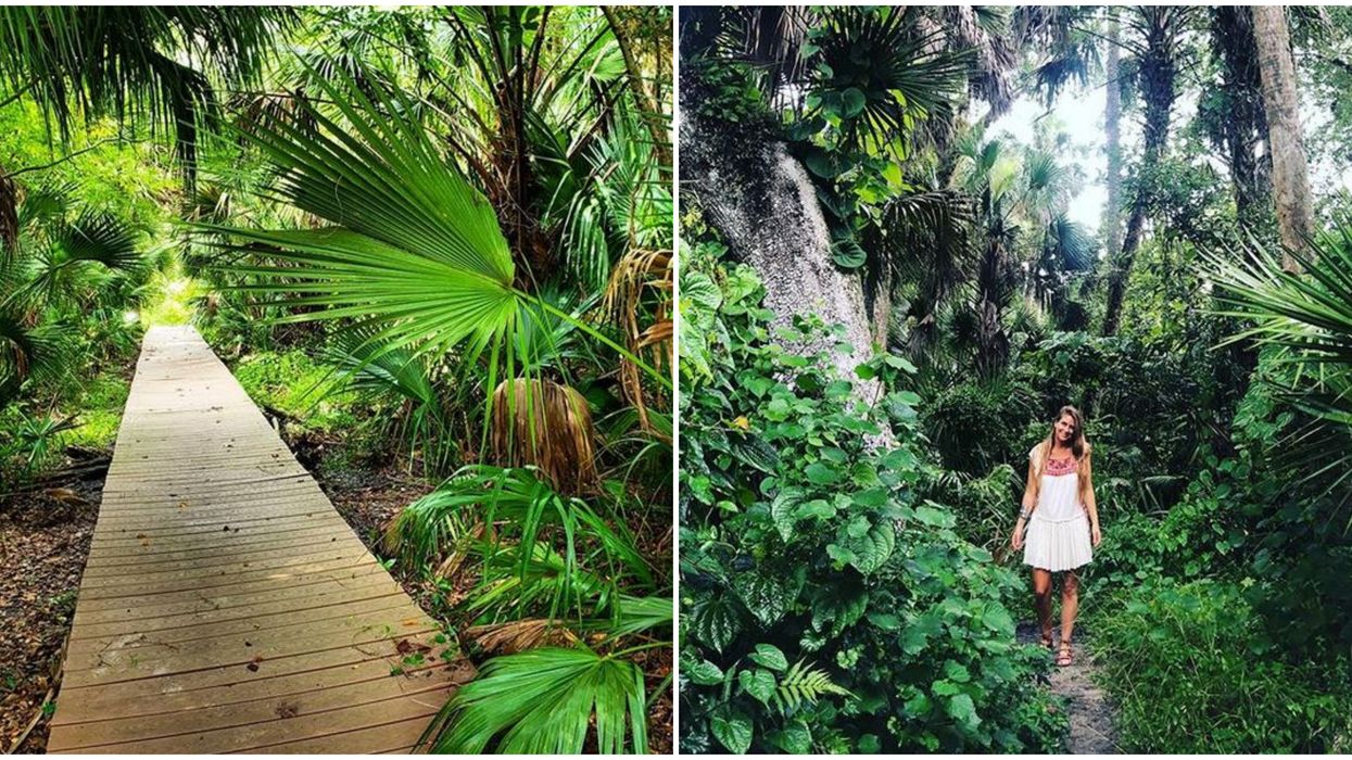Florida Hiking Spot Bear Creek Nature Trail Is A Hidden Oasis In The Middle Of The City
