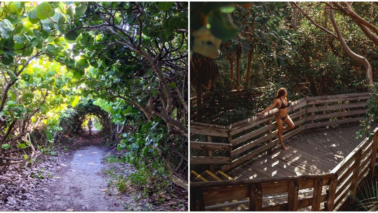 Florida Hiking Trail Takes You Through A Maze Of Tree Tunnels
