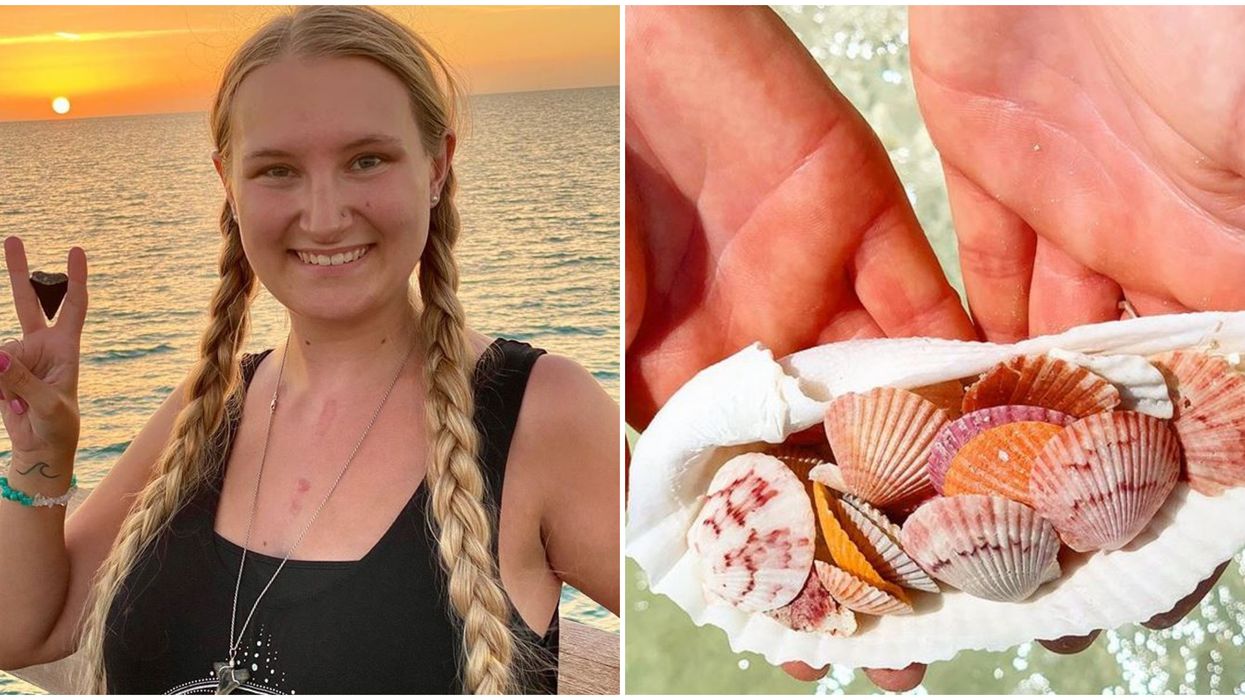 Florida Seashell Hunting Tours Take That You To The Best Spots In Florida