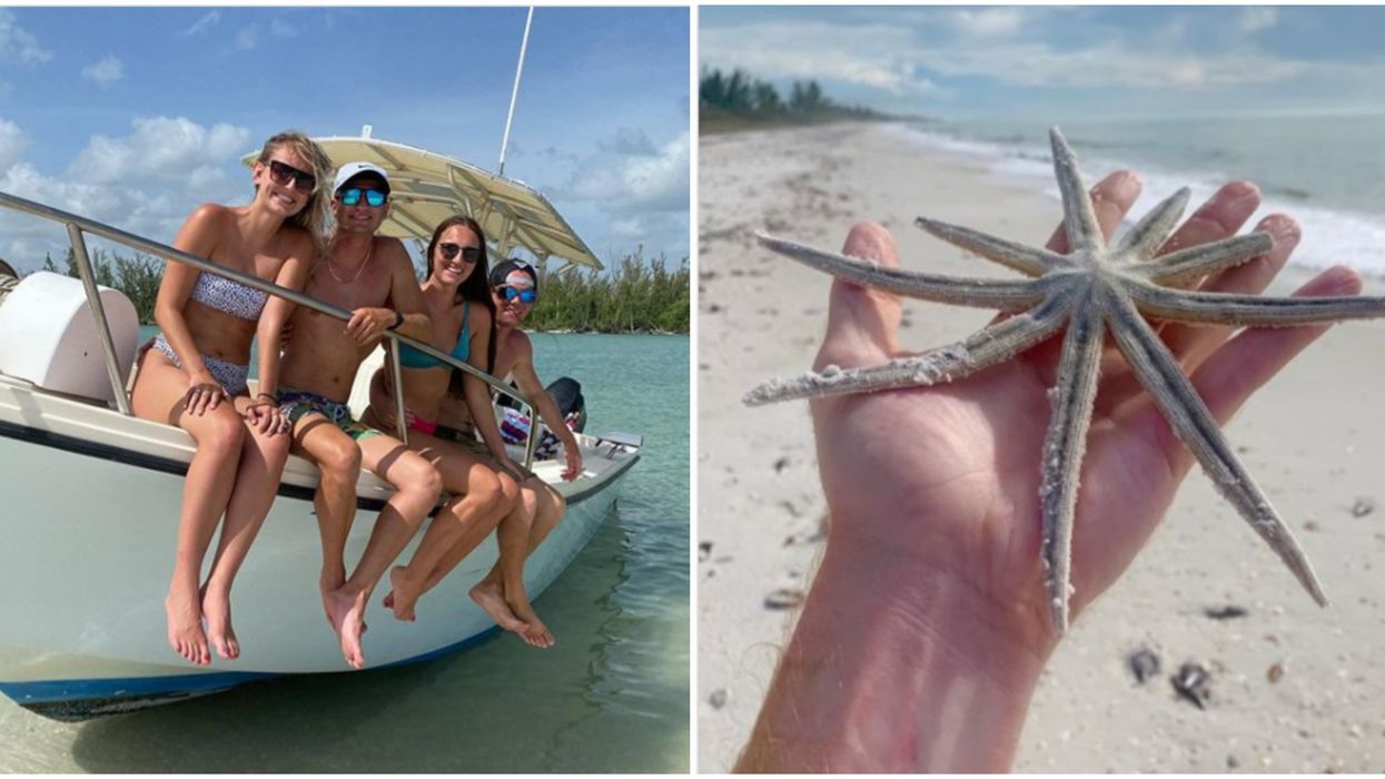 Florida Shelling Tour Near Naples Let's You Cruise With Wild Dolphins