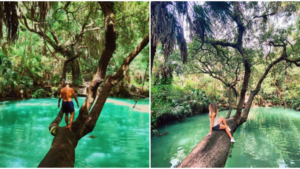 Florida Spring Green Springs Park Near Orlando Is Free To Visit