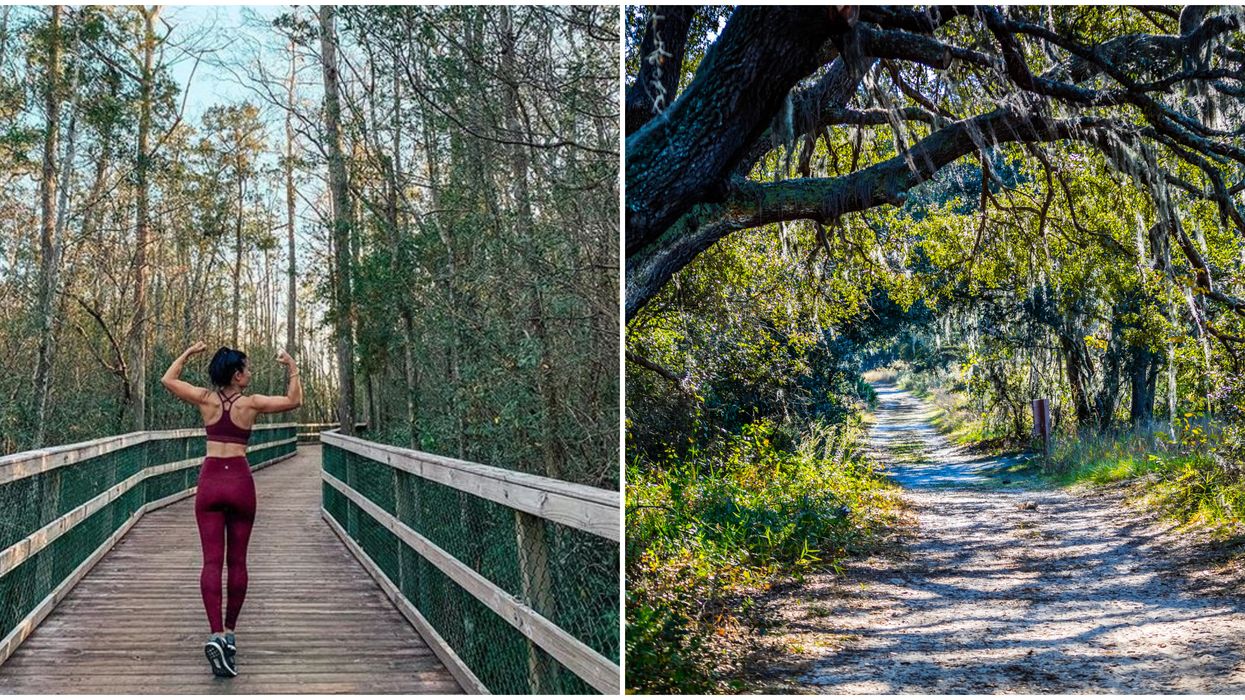 Florida State Forests Will Require Cashless Payments With New System