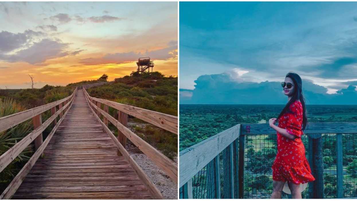 Florida State Park Secret Mountain Will Give You Incredible Views