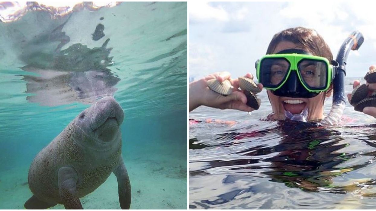 Florida Underwater Tour Will Show You Another Side Of The Sunshine State