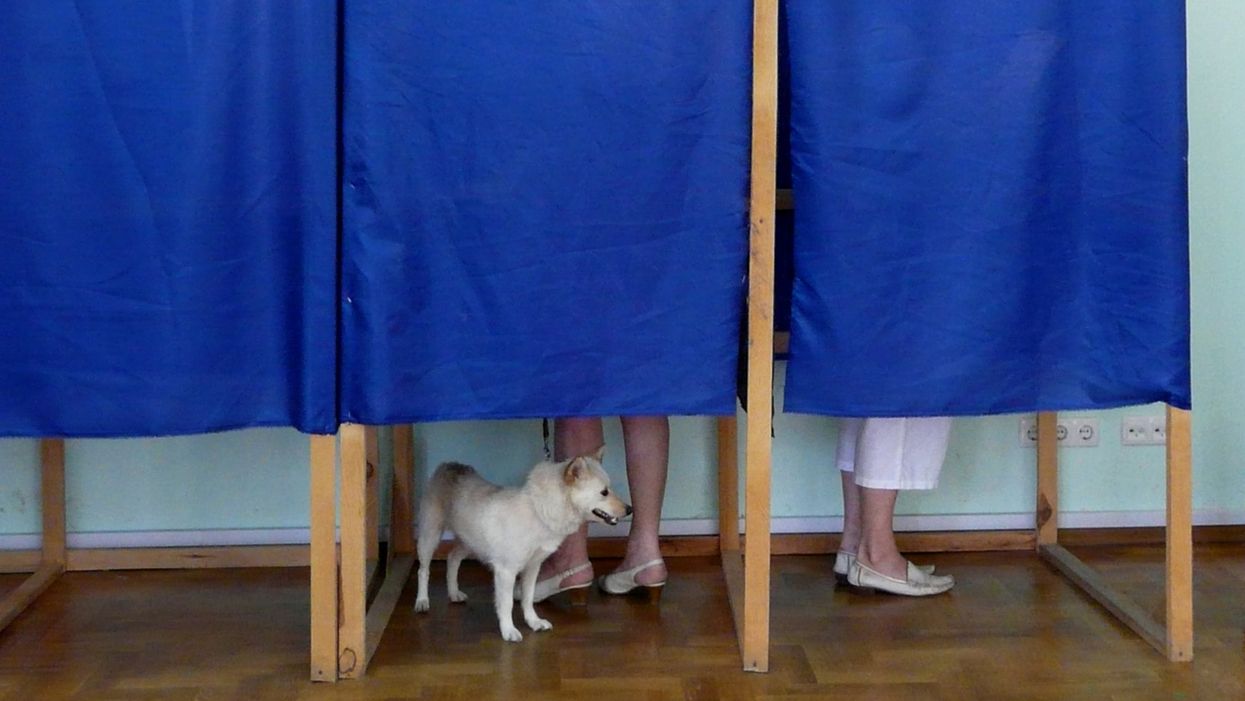 Florida Voter Registration Company Sent Dead Dog A Vote Form