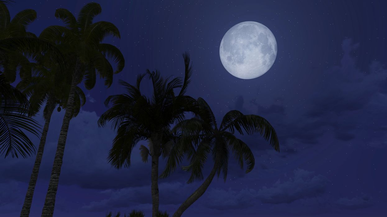 Florida Will See Two Full Moons This October Illuminated The Skies