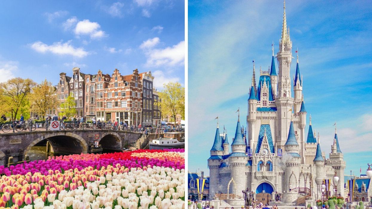 Flowers in Amsterdam. Right: Magic Kingdom Park in Orlando, Florida.