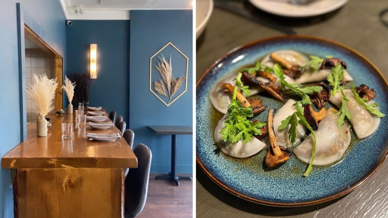 Folke interior. Right: Folke dish.