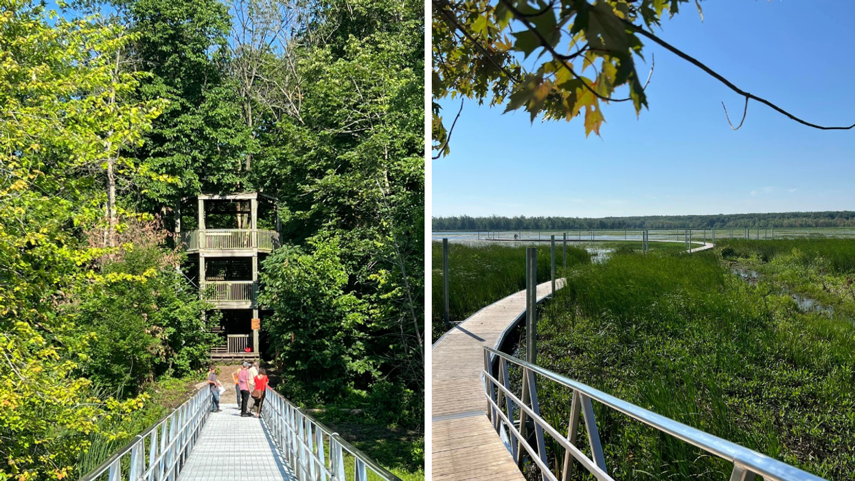 Footbridge leading to a lookout tower. Right: New marsh boardwalk at Oka National Park.