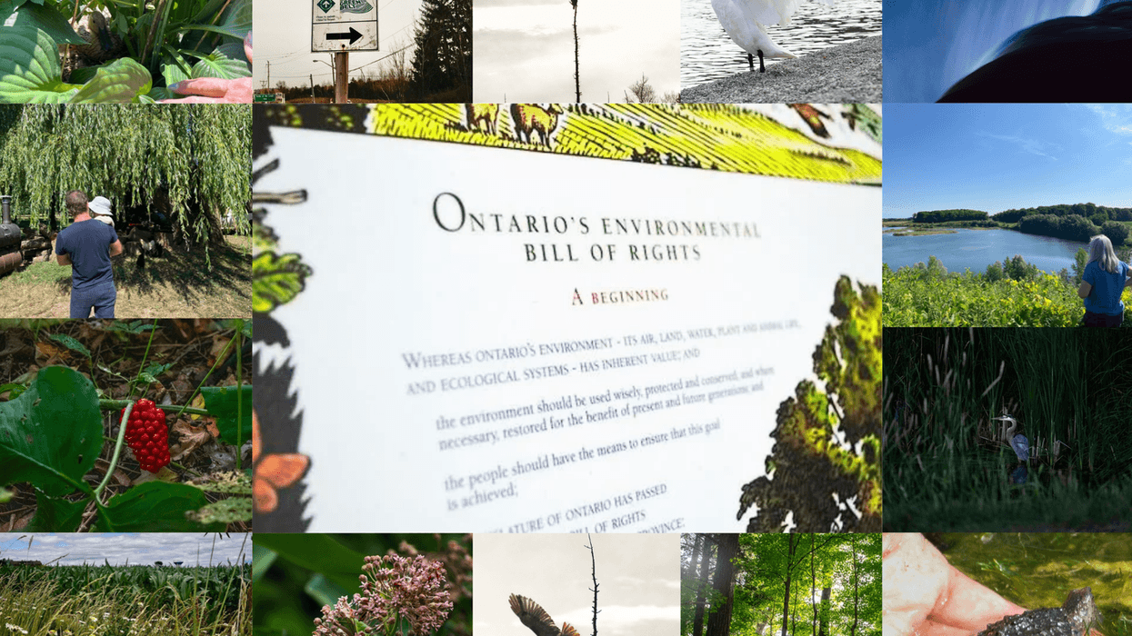 Ford’s Bill 140 ‘eviscerates’ Ontario’s bedrock environmental laws, hands developers what they want