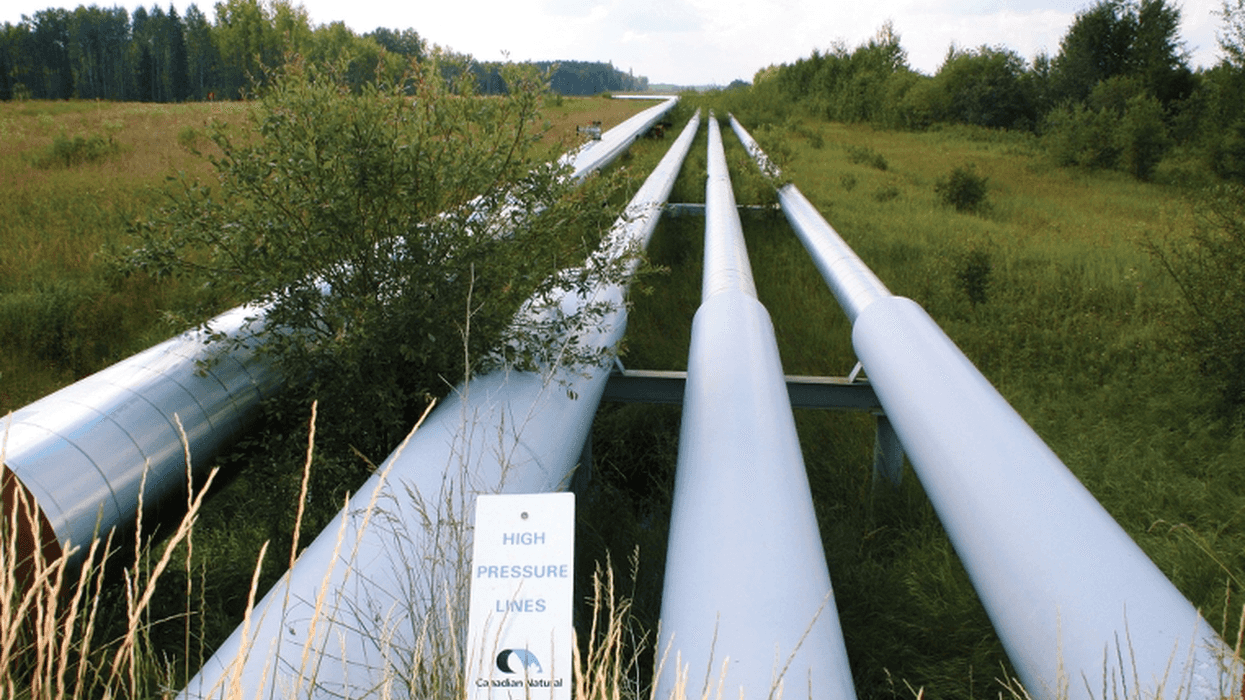Former Alberta energy CEO says natural gas Crown corp. could be bad for private sector