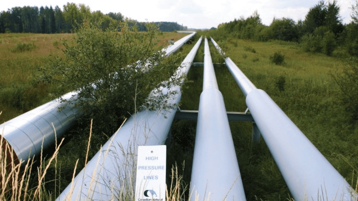 Former Alberta energy CEO says natural gas Crown corp. could be bad for private sector
