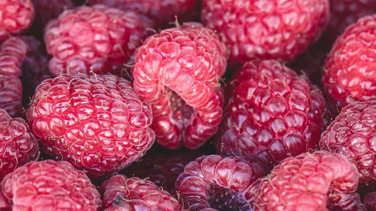 Framboises.